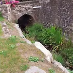 ホームステイ 